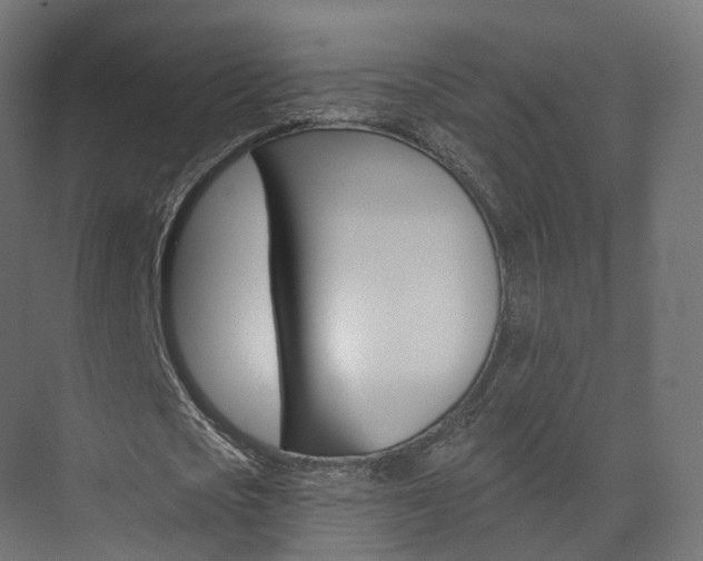 X0000074240721200608250841