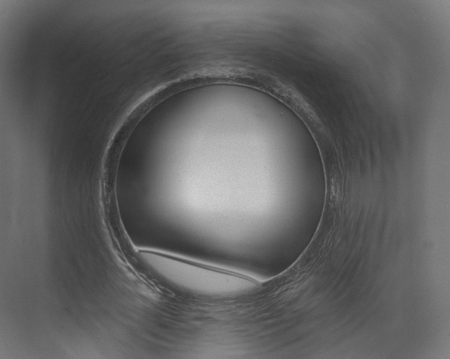 X0000074240724200608250841