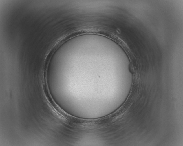 X0000074240725200608250841