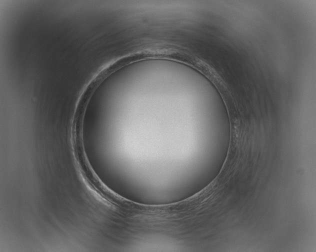 X0000074240726200608250841