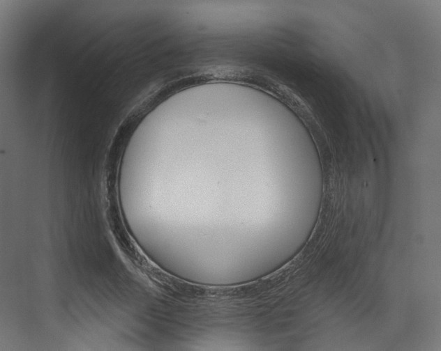 X0000074240730200608250841
