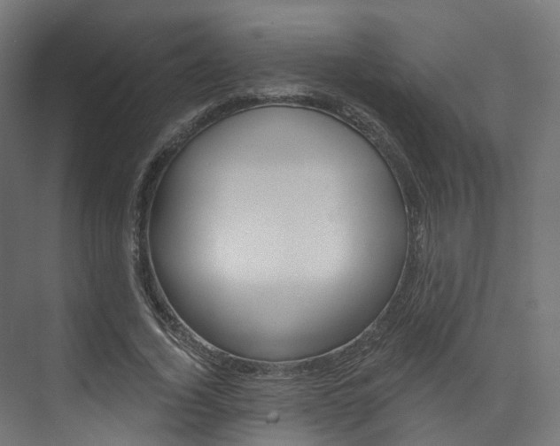X0000074240732200608250841