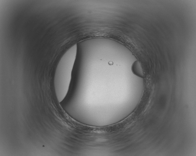 X0000074240741200608250841
