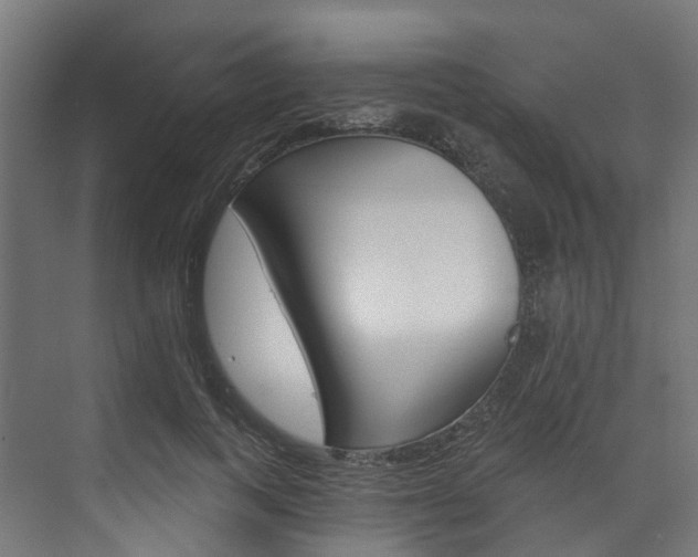 X0000074240743200608250841