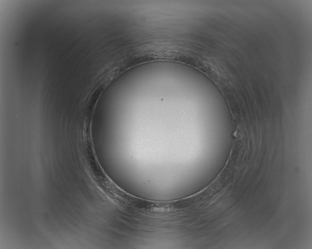 X0000074240744200608250841