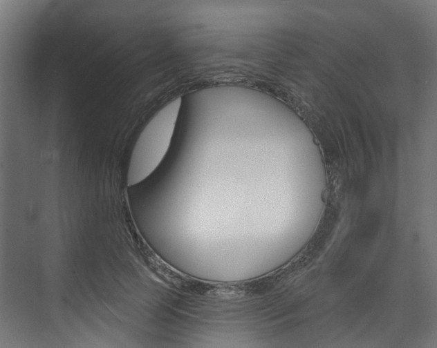 X0000074240745200608250841