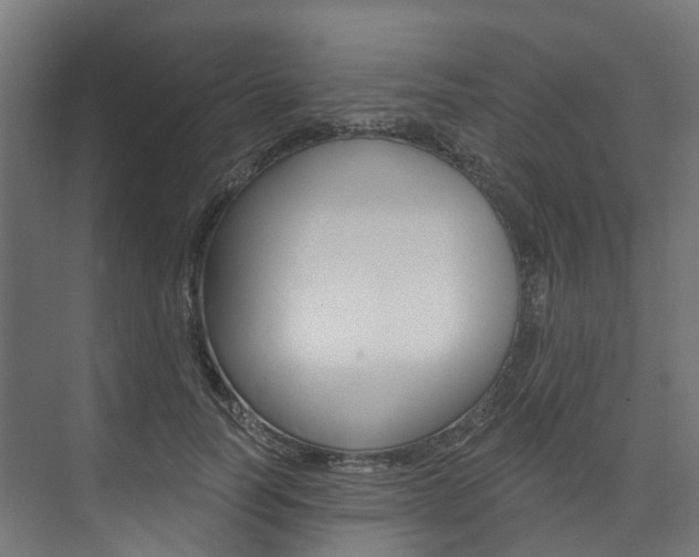 X0000074240746200608250841