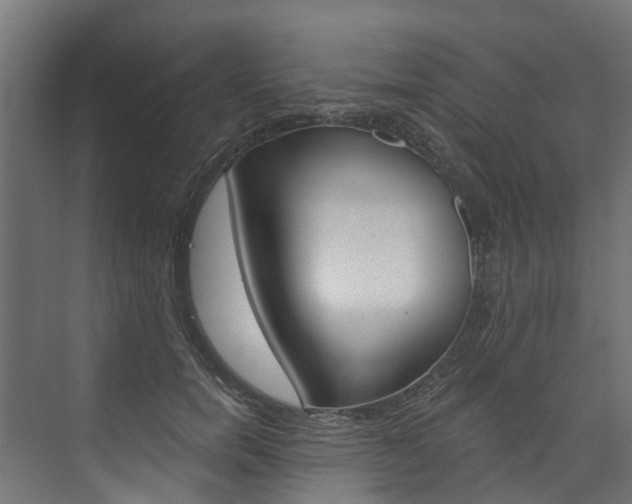 X0000074240750200608250842
