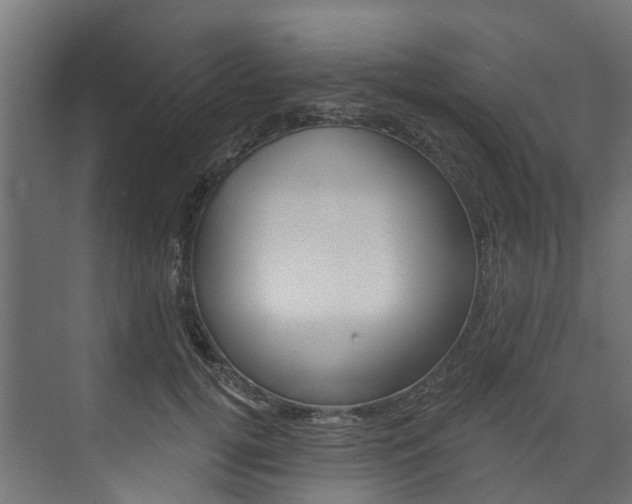 X0000074240752200608250842