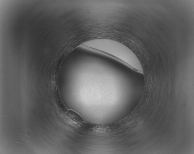 X0000074240756200608250842