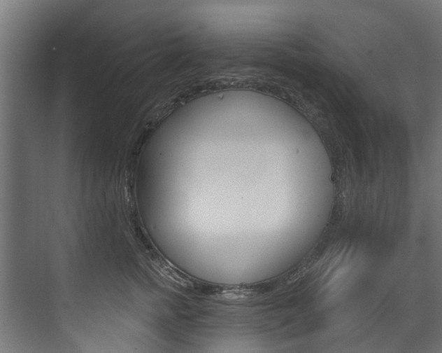 X0000074240758200608250842
