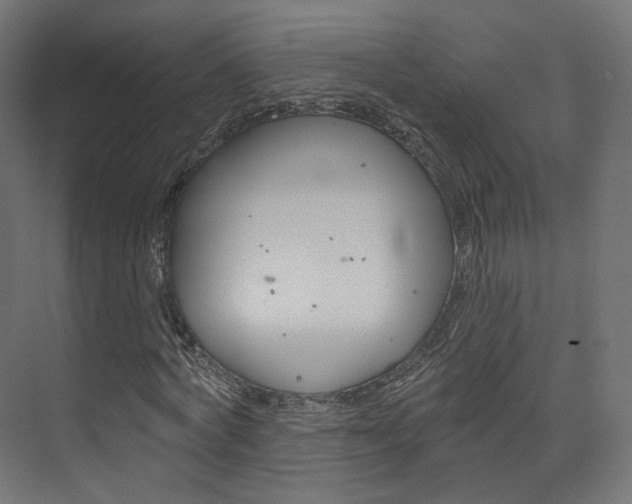 X0000074240772200608250841