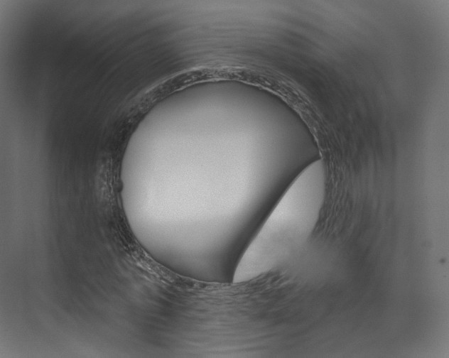 X0000074240773200608250841