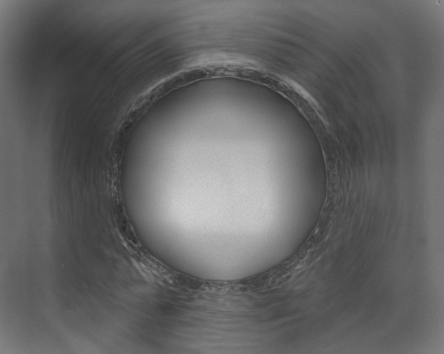X0000074240775200608250841