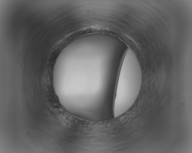 X0000074240776200608250841