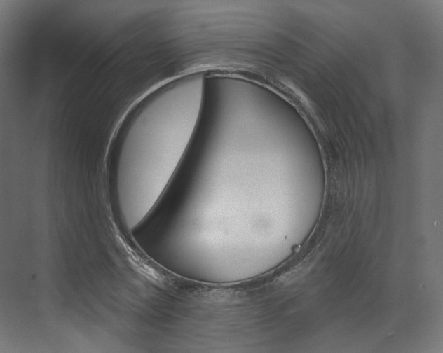 X0000074240779200608250841
