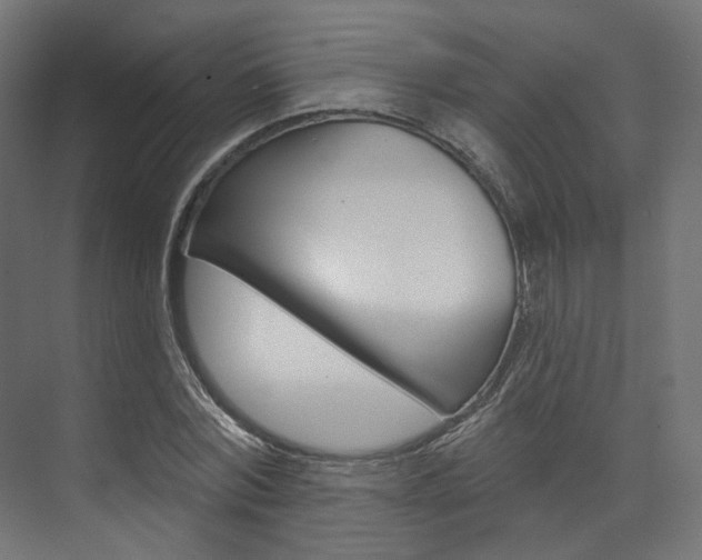 X0000074240780200608250841