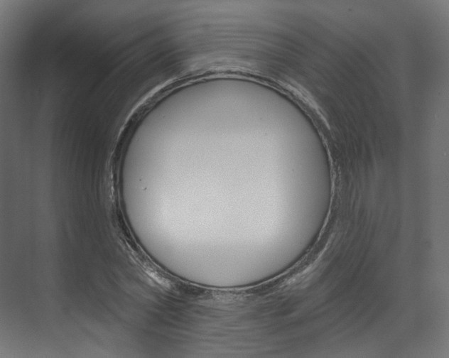 X0000074240782200608250841