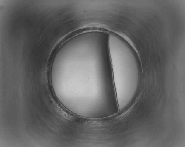 X0000074240783200608250841