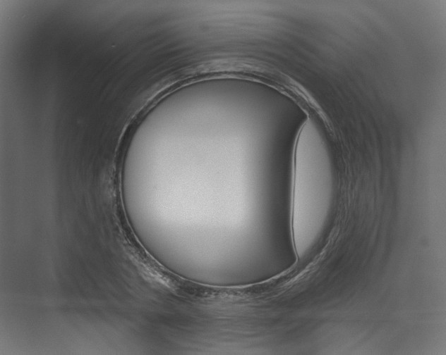 X0000074240786200608250841