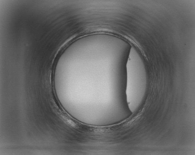 X0000074240790200608250841