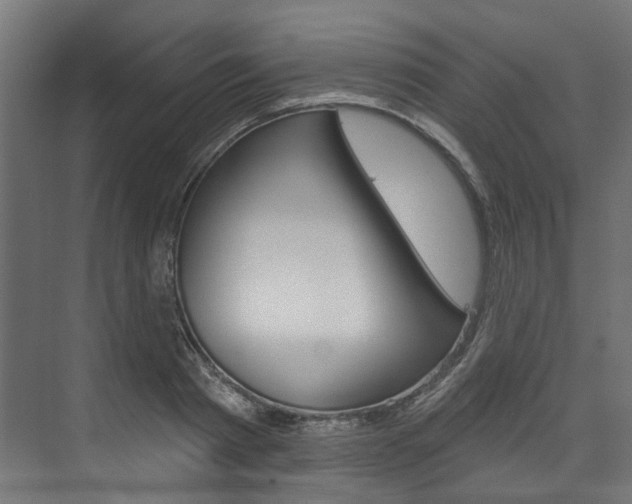 X0000074240793200608250841