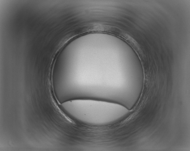 X0000074240794200608250841