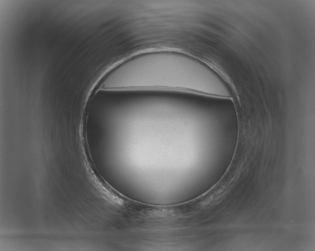 X0000074240797200608250841