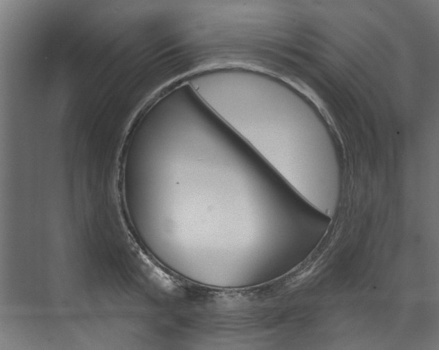 X0000074240799200608250841