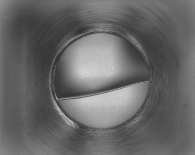 X0000074240803200608250840
