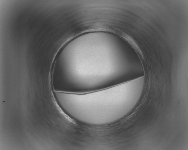 X0000074240805200608250840