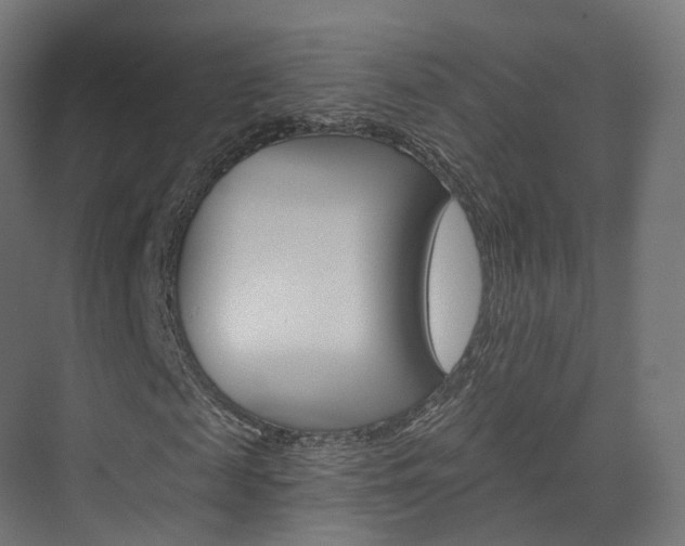 X0000074240817200608250839