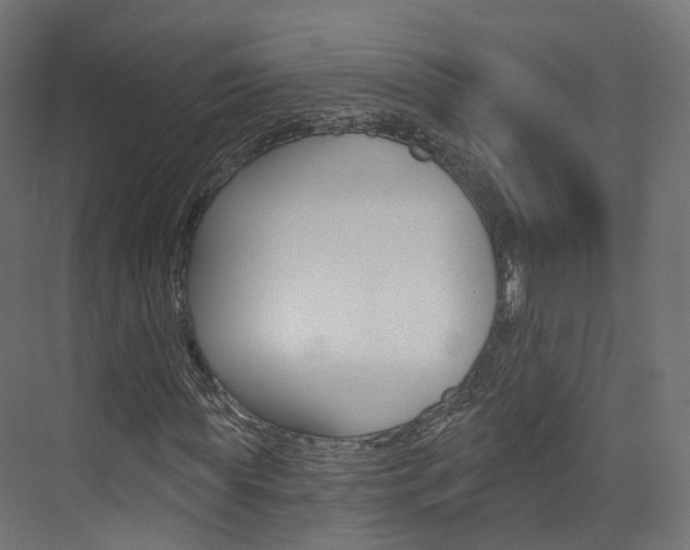X0000074240819200608250839