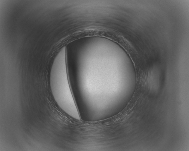 X0000074240821200608250840