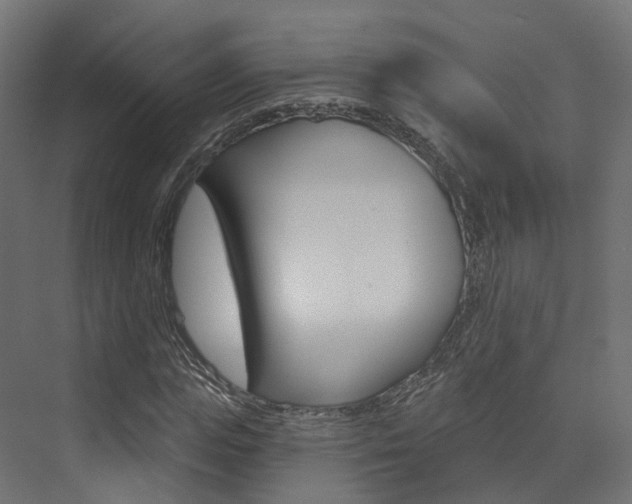 X0000074240823200608250840