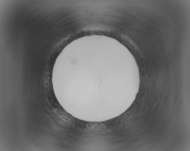 X0000074240824200608250840