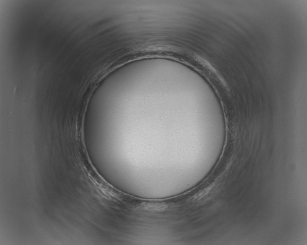 X0000074240825200608250840