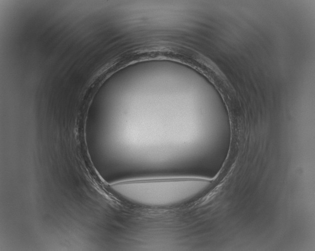 X0000074240826200608250840