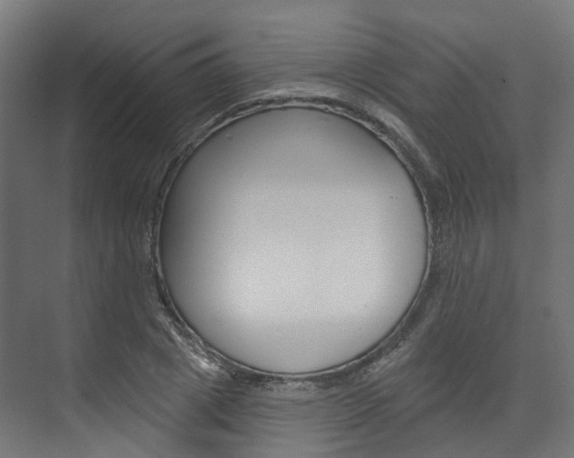 X0000074240833200608250840