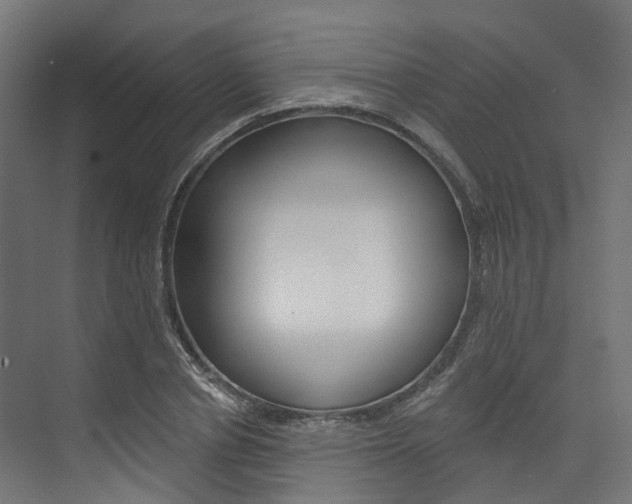 X0000074240834200608250840
