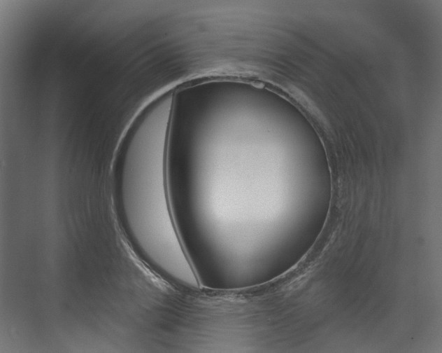 X0000074240838200608250840