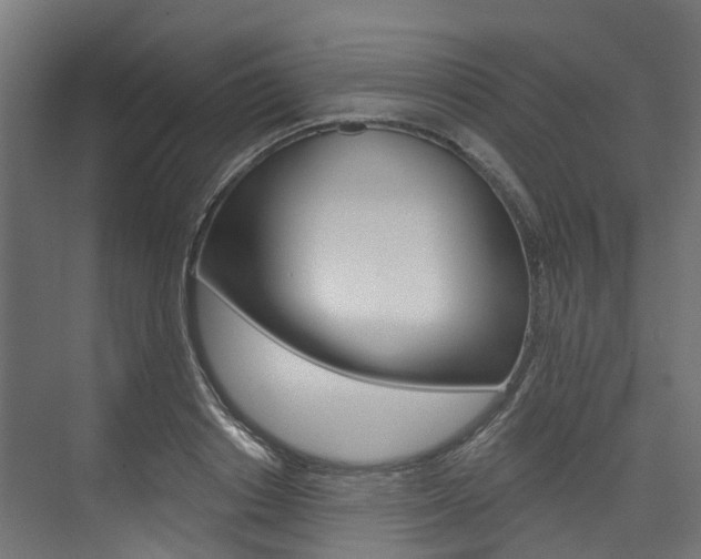 X0000074240842200608250840