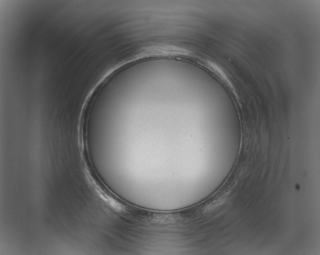 X0000074240843200608250840