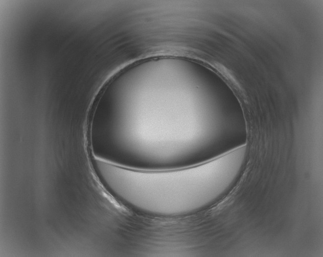 X0000074240846200608250840