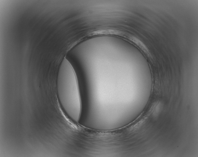 X0000074240849200608250840