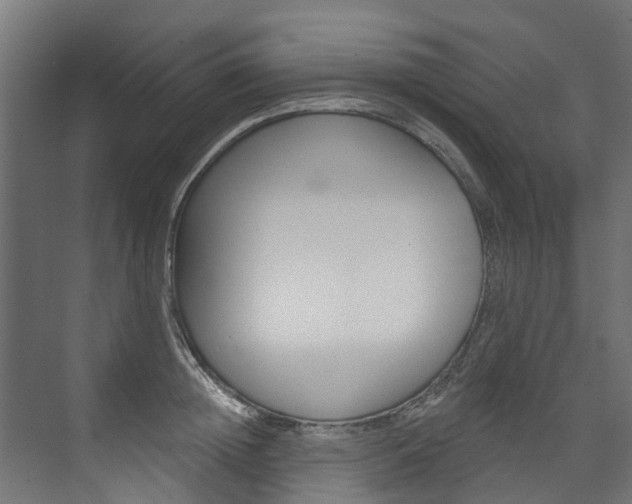 X0000074240852200608250840