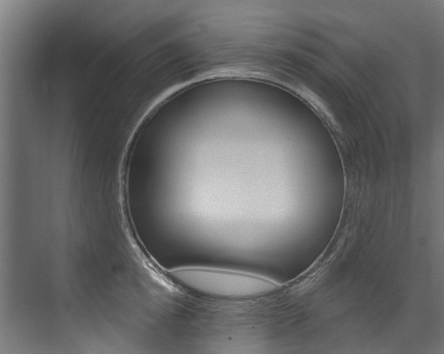 X0000074240854200608250840