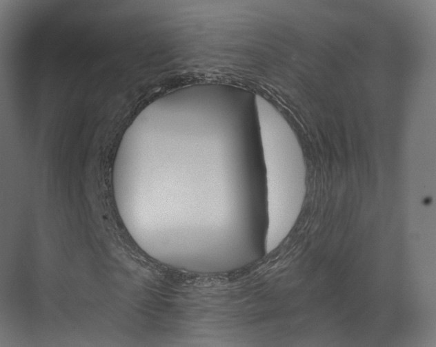 X0000074240865200608250839