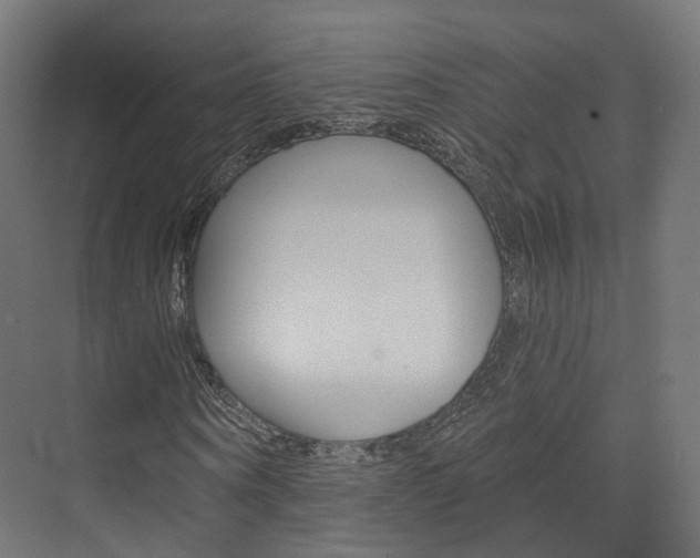 X0000074240866200608250839