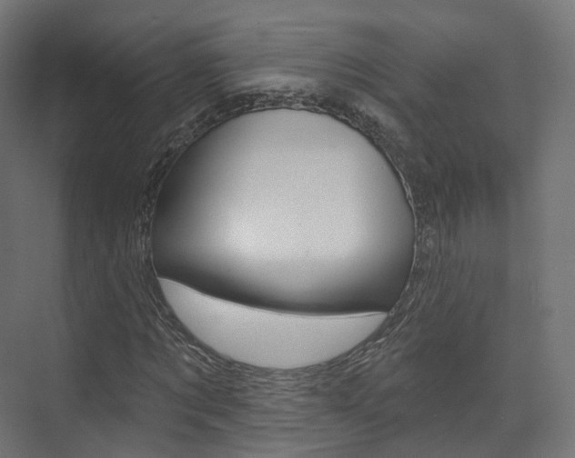 X0000074240869200608250839